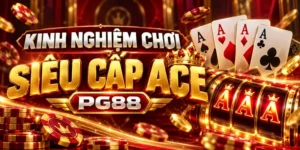 Kinh nghiệm chơi siêu cấp ACE PG88