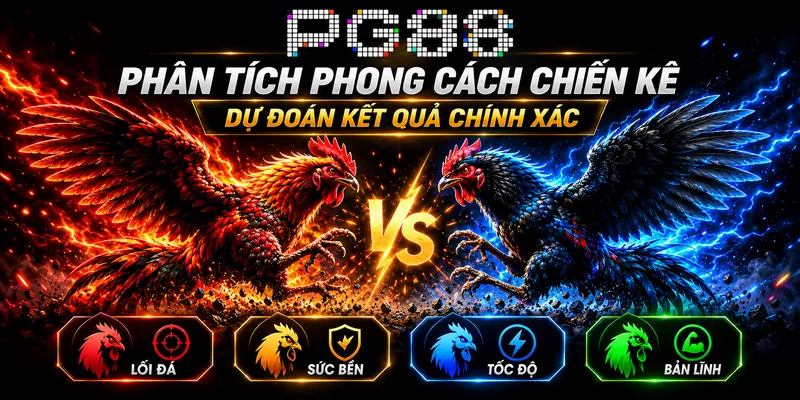 Phân tích phong cách chiến kê trong đá gà thomo PG88 giúp người chơi dự đoán kết quả chính xác